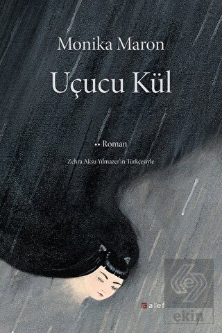 Uçucu Kül