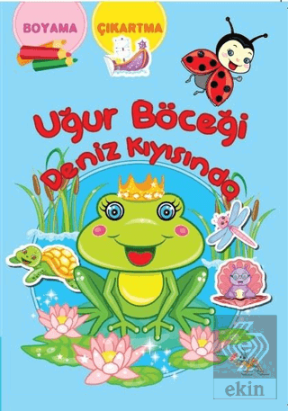 Uğur Böceği Deniz Kıyısında