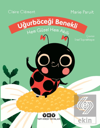 Uğurböceği Benekli Hem Güzel Hem Akıllı