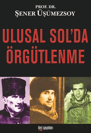 Ulusal Sol'da Örgütlenme