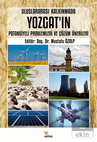 Uluslararası Kalkınmada Yozgatın Potansiyeli Problemleri ve Çözüm Önerileri