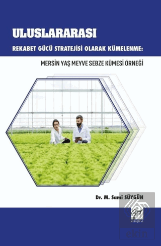 Uluslararası Rekabet Gücü Stratejisi Olarak Kümele