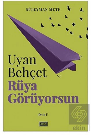 Uyan Behçet Rüya Görüyorsun
