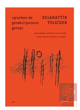 Uyurken de Görebiliyorsun Geceyi