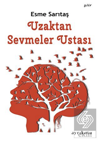 Uzaktan Sevmeler Ustası