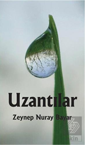 Uzantılar