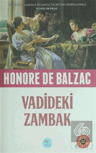 Vadideki Zambak (Özet Kitap)