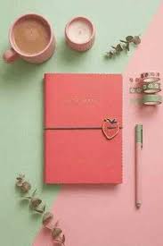 VAGON STRAWBERRY TEENAGE DEFTER ÇİZGİLİ NOTE BOOK
