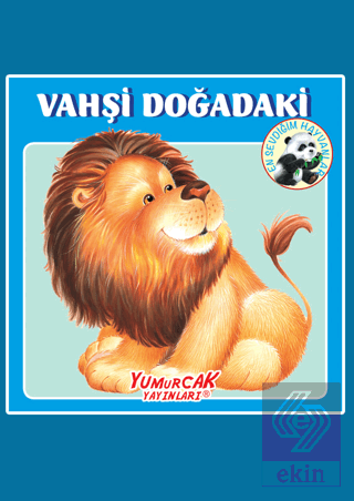 Vahşi Doğadaki En Sevdiğim Hayvanlar Kitabı