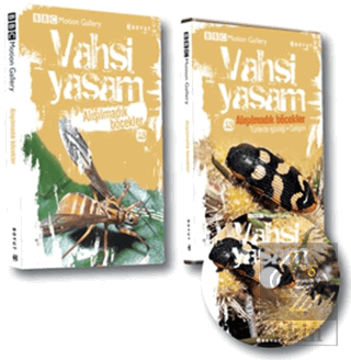 Vahşi Yaşam 2 - Alışılmadık Böcekler