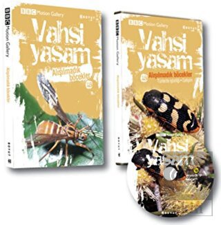 Vahşi Yaşam 2 - Alışılmadık Böcekler
