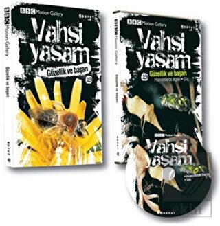 Vahşi Yaşam 2 - Güzellik ve Başarı