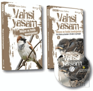 Vahşi Yaşam 2 - Meyve ve Fındık Kemirgenleri