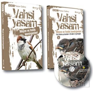 Vahşi Yaşam 2 - Meyve ve Fındık Kemirgenleri