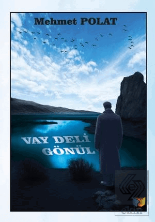 Vay Deli Gönül Mehmet Polat Ateş Yayınları Satın Al - ekinkitap.com