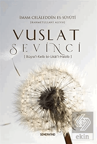 Vuslat Sevinci