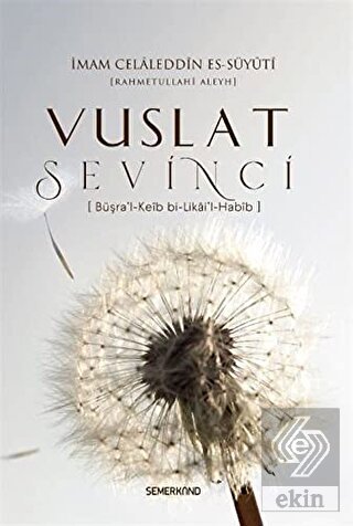 Vuslat Sevinci