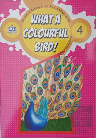 What a Colourful Bird ! - 4