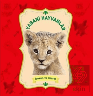 Yabani Hayvanlar - Dokun ve Hisset