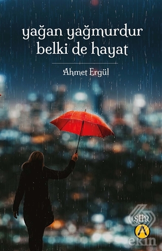 Yağan Yağmurdur Belki de Hayat