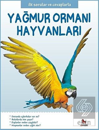Yağmur Ormanı Hayvanları - İlk Sorular ve Cevaplar