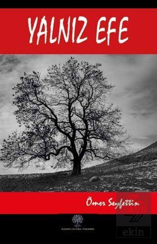 Yalnız Efe