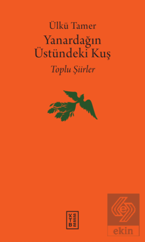 Yanardağın Üstündeki Kuş