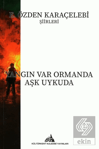 Yangın Var Ormanda Aşk Uykuda