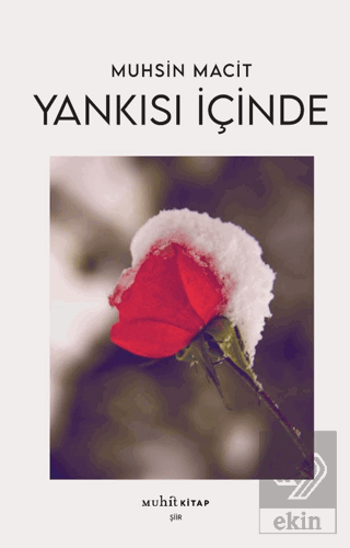 Yankısı İçinde