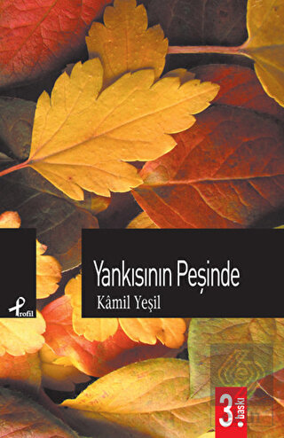 Yankısının Peşinde