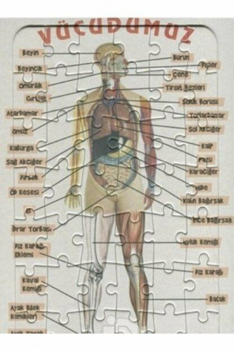 Yapboz Vücudumuzu Öğreniyoruz (42 Parça)