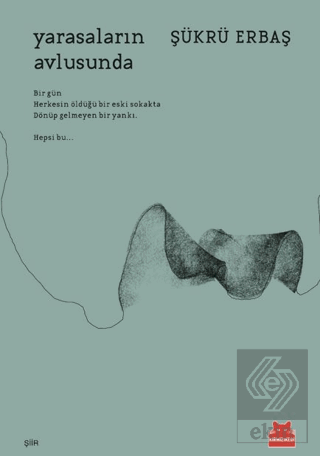 Yarasaların Avlusunda