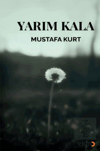 Yarım Kala