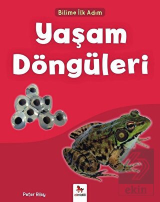 Yaşam Döngüleri - Bilime İlk Adım