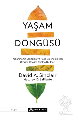 Yaşam Döngüsü