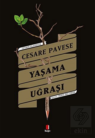 Yaşama Uğraşı
