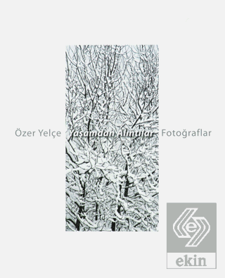 Yaşamdan Alıntılar