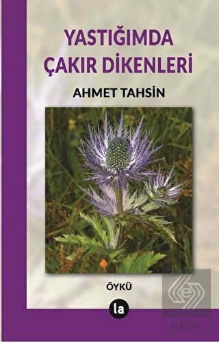 Yastığımda Çakır Dikenleri