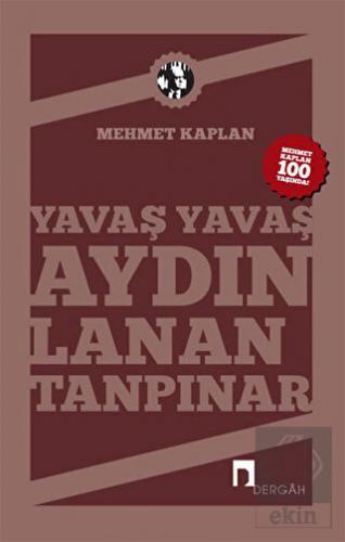 Yavaş Yavaş Aydınlanan Tanpınar