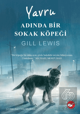 Yavru Adında Bir Sokak Köpeği