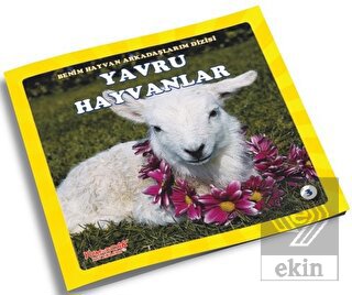 Yavru Hayvanlar - Benim Hayvan Arkadaşlarım Dizisi