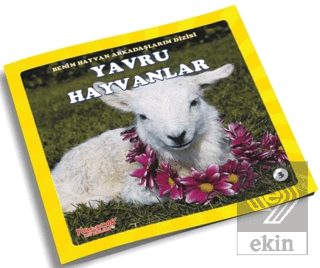 Yavru Hayvanlar - Benim Hayvan Arkadaşlarım Dizisi