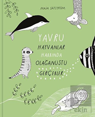 Yavru Hayvanlar Hakkında Olağanüstü Gerçekler