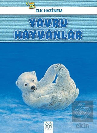 Yavru Hayvanlar - İlk Hazinem