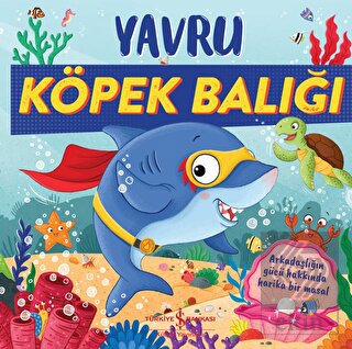 Yavru Köpek Balığı