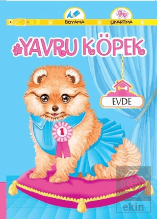 Yavru Köpek Evde