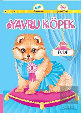 Yavru Köpek Evde