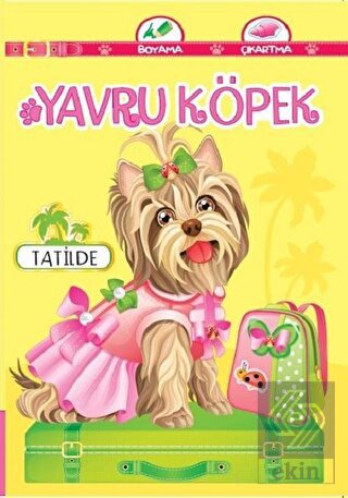 Yavru Köpek Tatilde