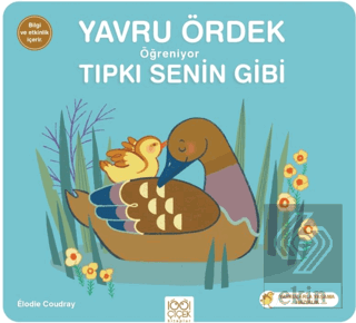 Yavru Ördek Öğreniyor Tıpkı Senin Gibi