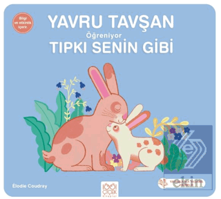 Yavru Tavşan Öğreniyor Tıpkı Senin Gibi